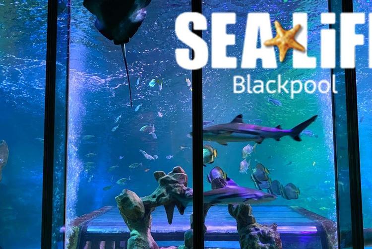 Craig Y Don Hotel | Blackpool | 10