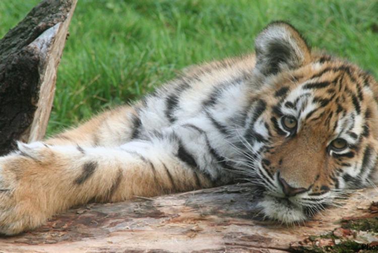 Craig Y Don Hotel | Blackpool | 8